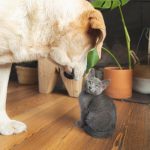 Mat för katt och hund